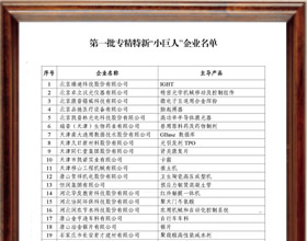 第一批專精特“小巨人”企業(yè)